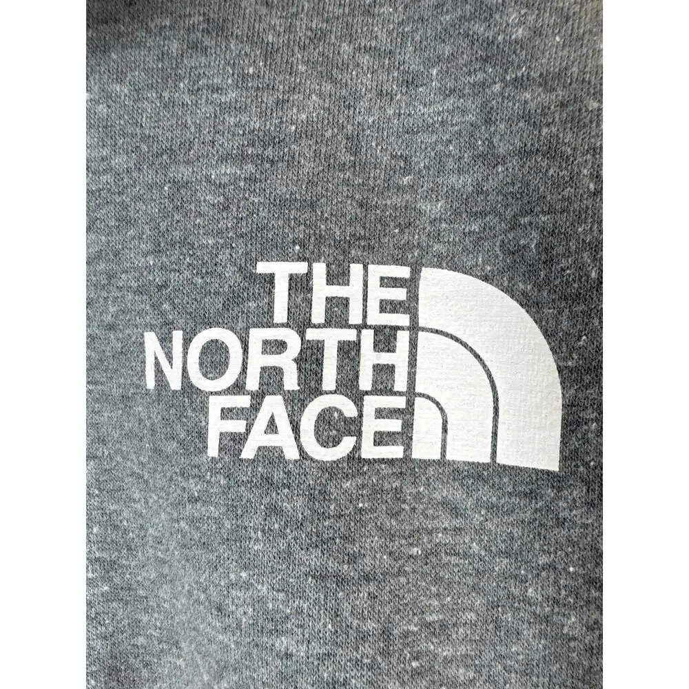 The North Face Since 66 Graphic Throwback Hoodie, Men, XL Gray